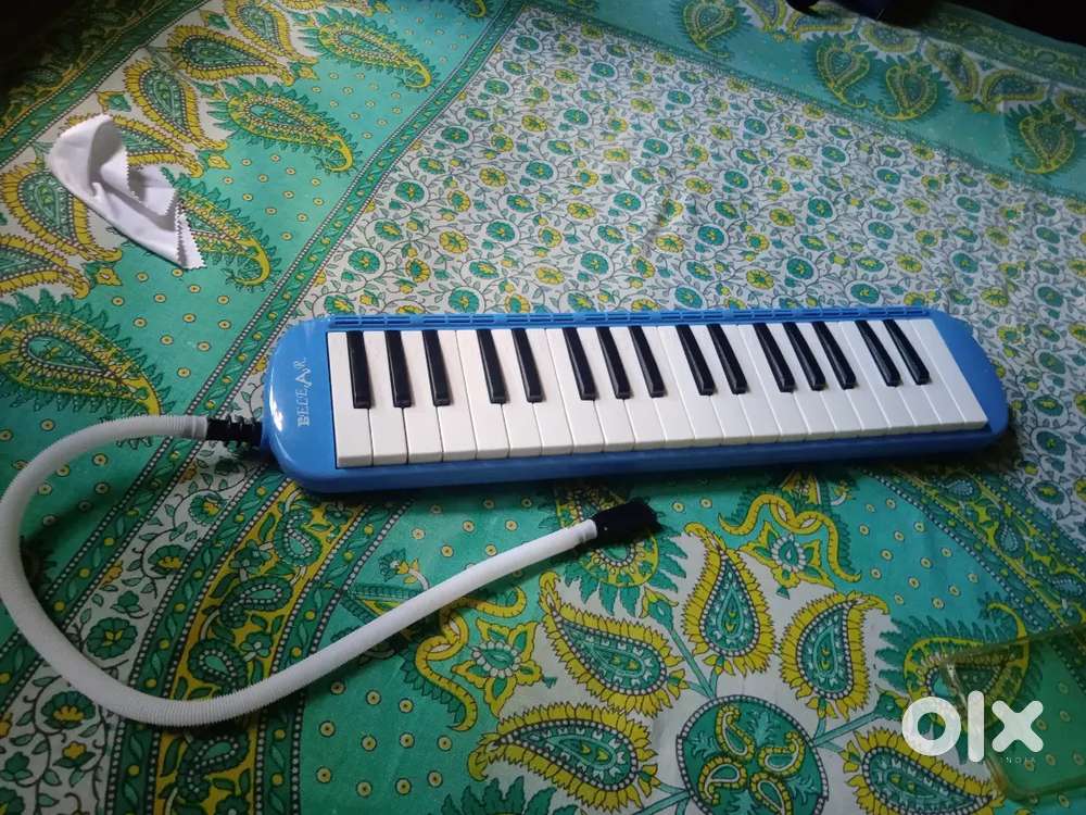 Melodic only one year old