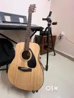 Yamaha F310
