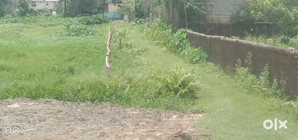 Land Sale 3katha 12ft Lane Meherpur 500 mtr from main road