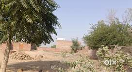 पट्टे सुधा प्लॉट 30  y 40 एरिया है चाहिए तो संपर्क करें