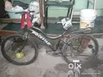 Rockstar cycle