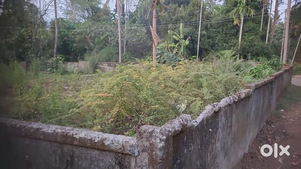 17.5 cent Residential plot at Chalakudy
