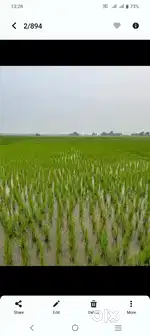 3 dismil.full ... 1 dismil charge 7,30000 .. plot and floating area