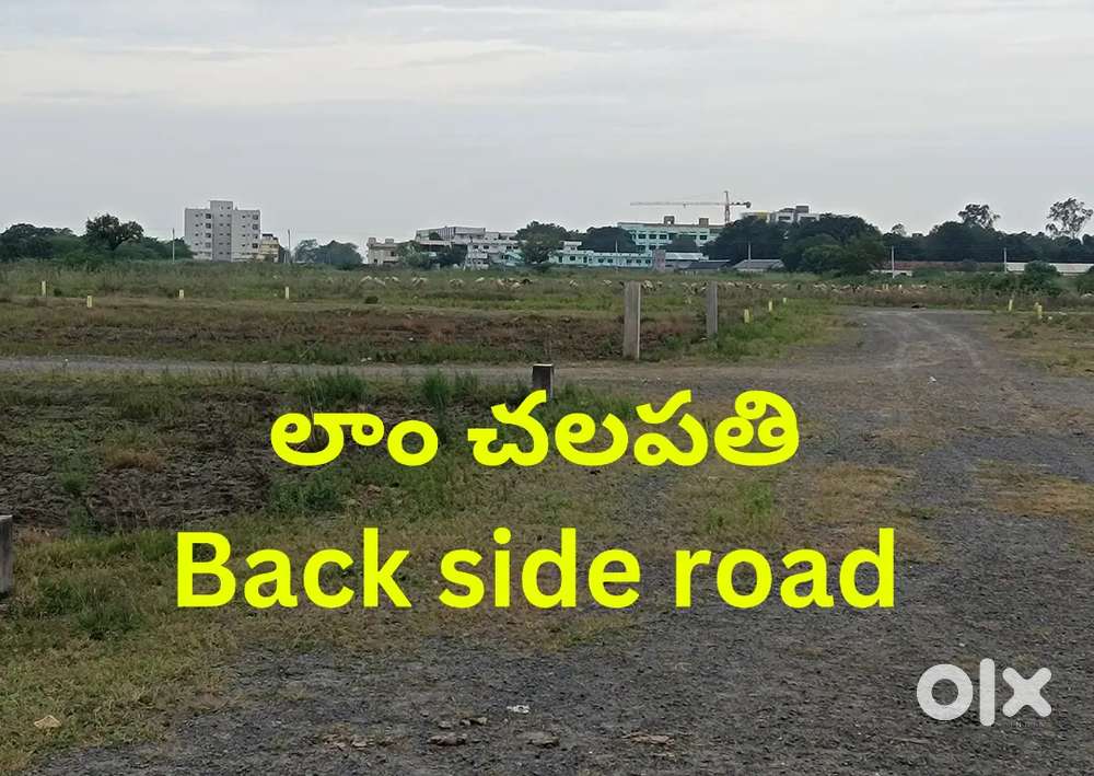 A) Lam chalapati college back plot sale