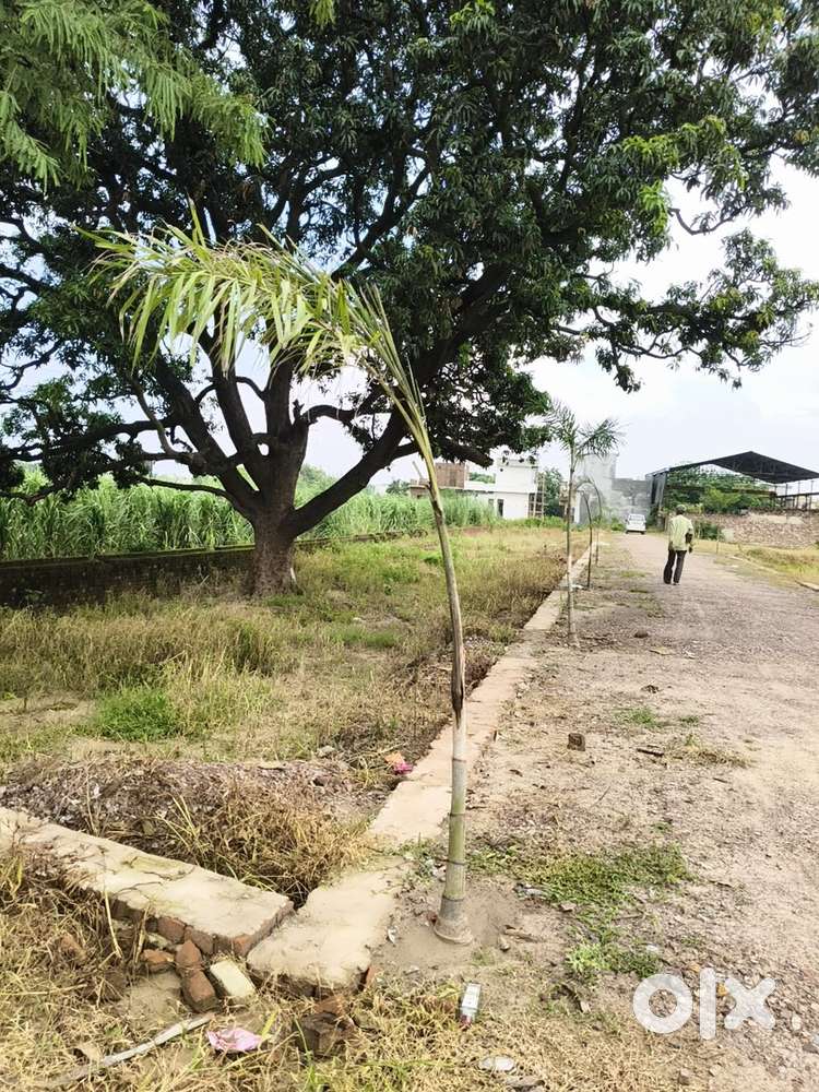 100 Sq. Yard. Plot Sale in Shyam Vatika,  Muradnagar, GZB