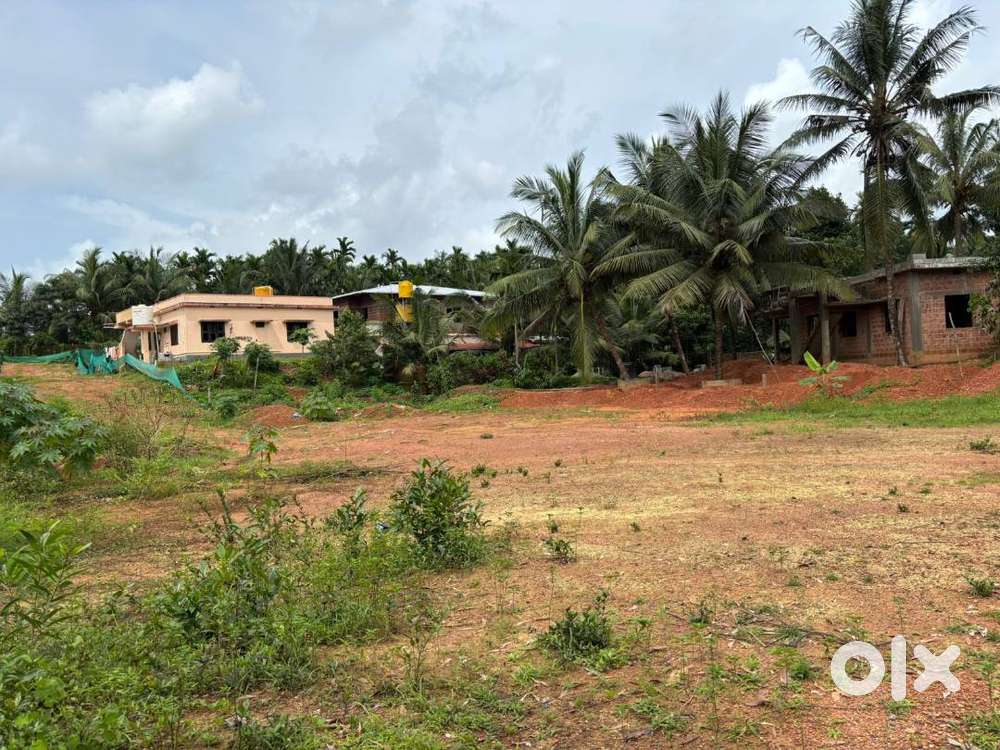 Plot for sale in puttur-bannur-15 cents