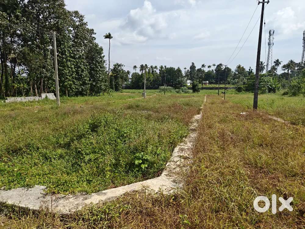 4-acre land for sale near Shalom School, Vengola – ₹2 lakh/cent