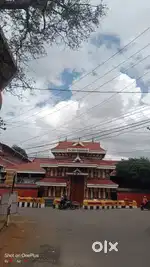 ഓട്ടോ ഡ്രൈവറെ ആവശ്യമുണ്ട്