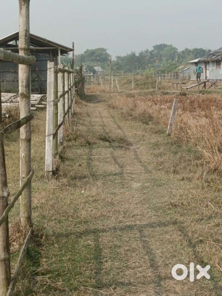 Land low price selling