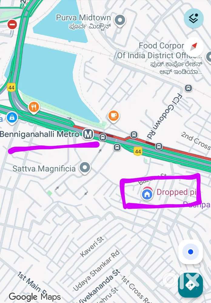 Looking for a Clean, Friendly, and Culinary Roommate!