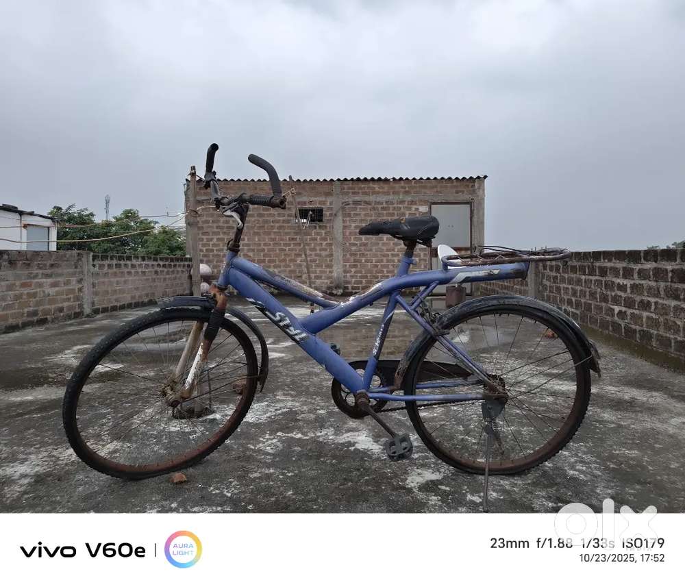 Bicycle needs some maintainance including brakes tires