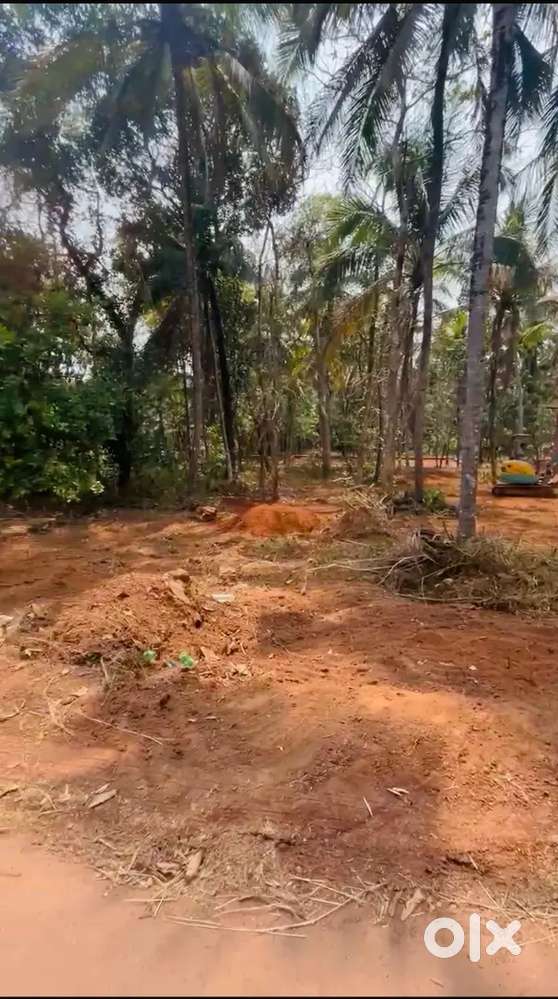 Housing plot for sale near Christ School Kanhangad
