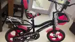 Speed Bird Kids cycle