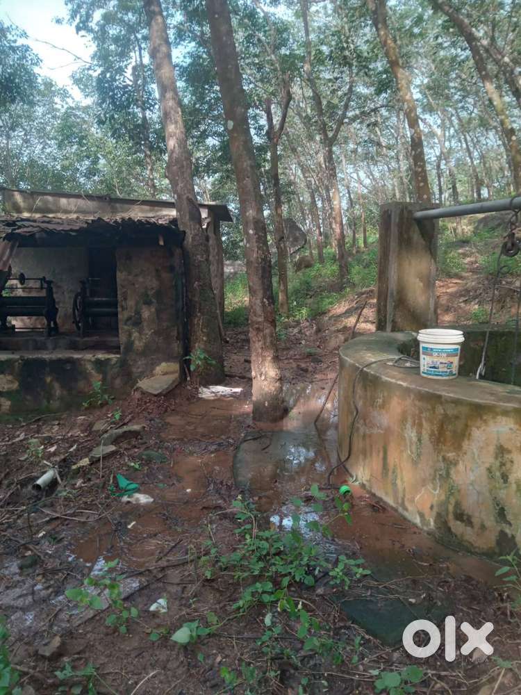 13 acres 67 cent Rubber Estate for sale
