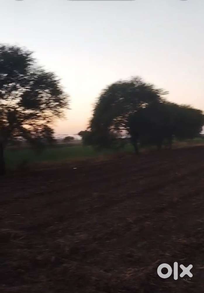 Adha bigha on national highway in ukawta petrol pump k samne