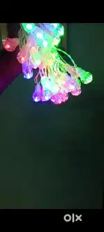 40 bulb multi colour  Rs.300
