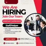Staff/Assistant supervisor/Worker