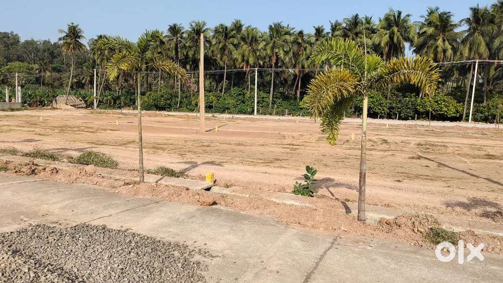 336 sq.ya Plot for sale in Prime venture in Rajahmundry, Dowlaiswaram