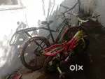 Best cycle