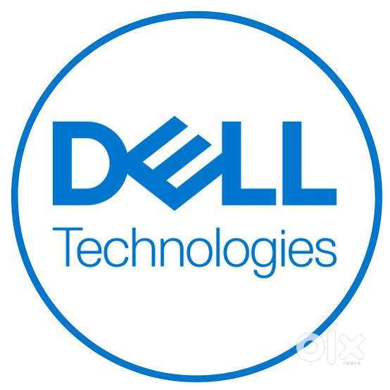 DELL-PC [cpu only]