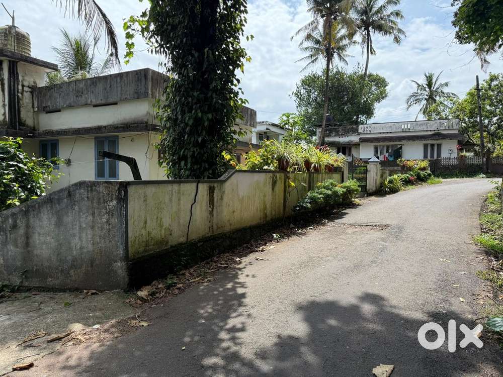 PAZHANGANAD 13 CENT NEAR SAMARITAN HOSPITAL INFOPARK KAKKANAD 8 KM