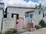 Sheet house for sale