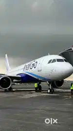 We are hiring for indigo airlines apply fast