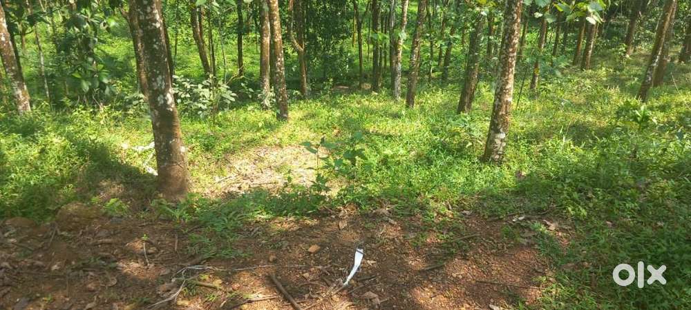 52 cent Land for sale