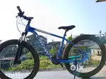 Stunt cycle