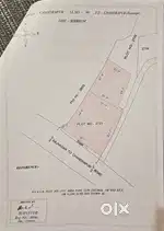 Urgent Sale Main Road facing Land 13.34 Katha in Chandrapur