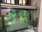 Fish Tank - Make Boyu