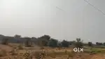 1250 sq mtr, JDA, East West, Commercial plot for sale at Ring Road