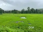 Tittle clear property