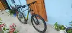 POLYGON premier 5