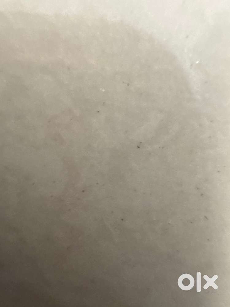 Prime Ground Floor Home for Working or Govt Families