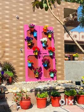 3bhk house on rent