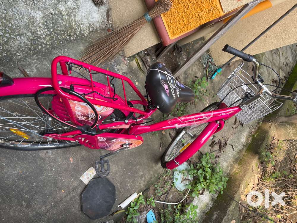 26 Eliza girl bycycle