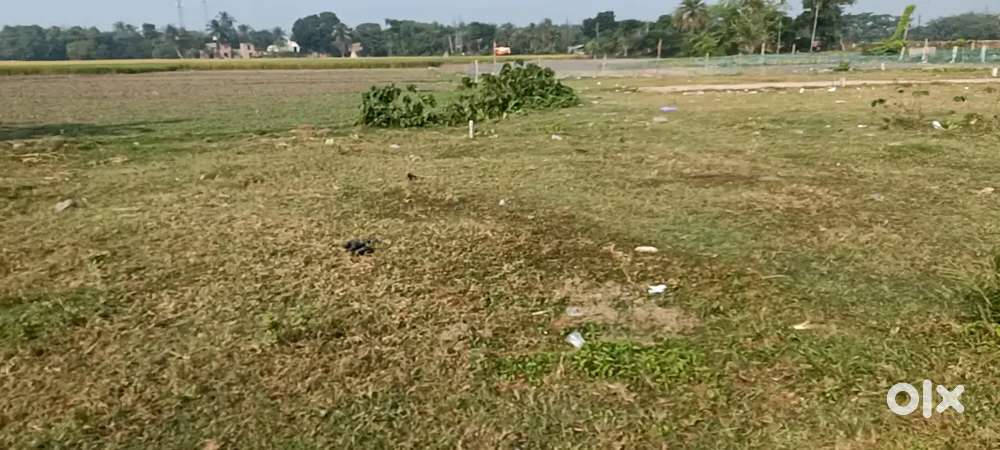 জমি বিক্রি আছে