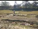 ১.৫ কঠা (৩০ লেচা) মাটি বিক্ৰী মাজগাঁও, বঙাইগাঁও ২২ লাখ/ কঠা