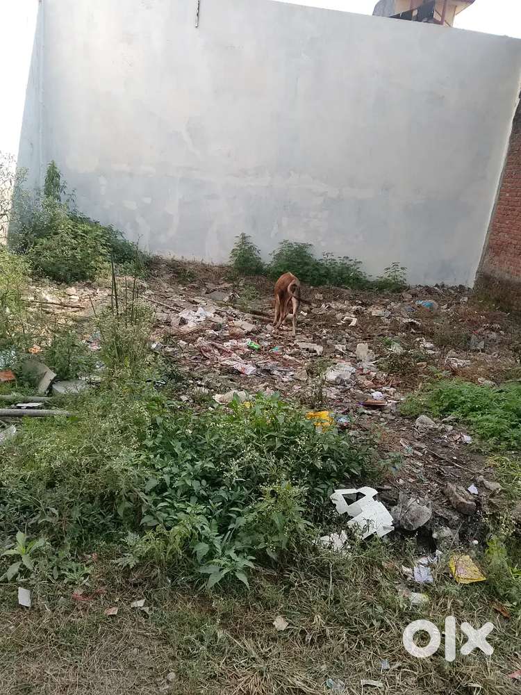 Kaushlya enclave face 1 Durga Mandir