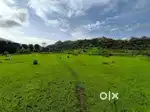 URAN TALUKA BEST PLOTS