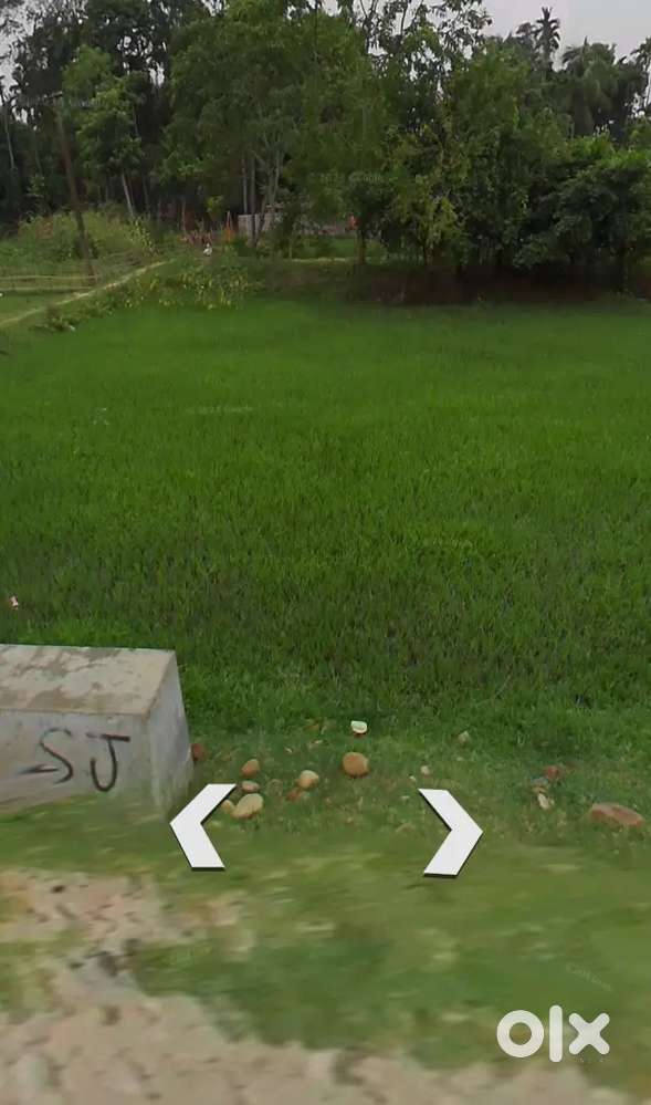 3kattha 12 chatak residential Plot for sale at Rongpur.