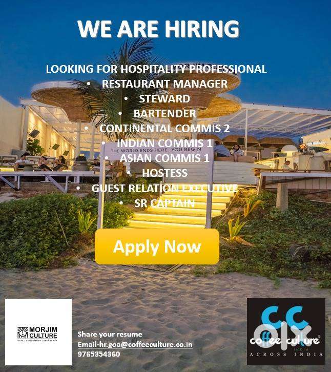 Head Bartender needed for high end beach front property in Morjim