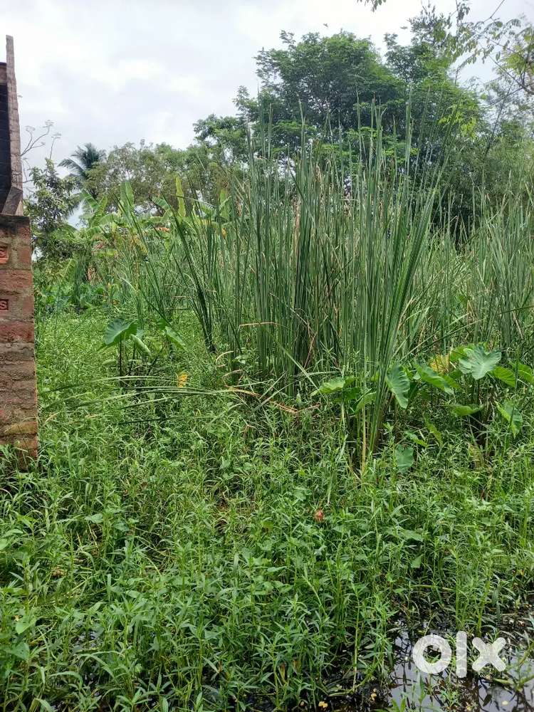 2 Cottah 4 Chittak Land