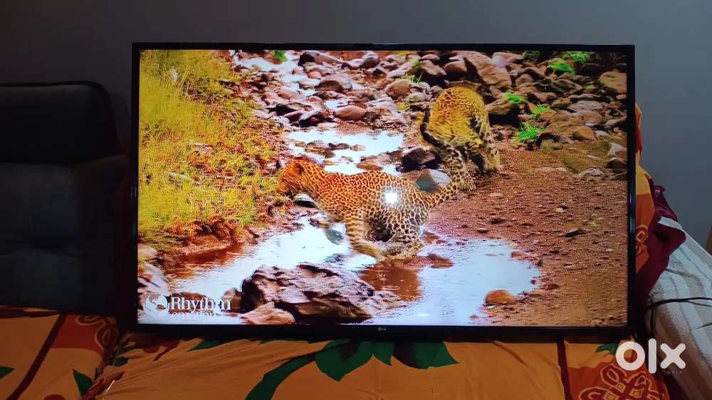 LG 4K LED 55 inch (2017 model)