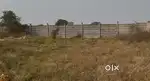 50 Gaaj Plot