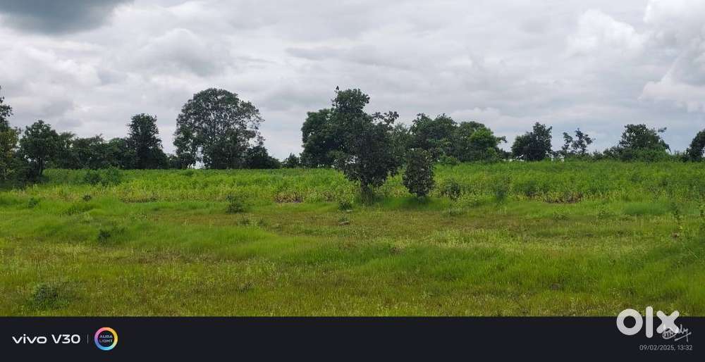 AGRICULTURE LAND AT A COST OF 10 KUNTAS IN FARMLAND VENTURES