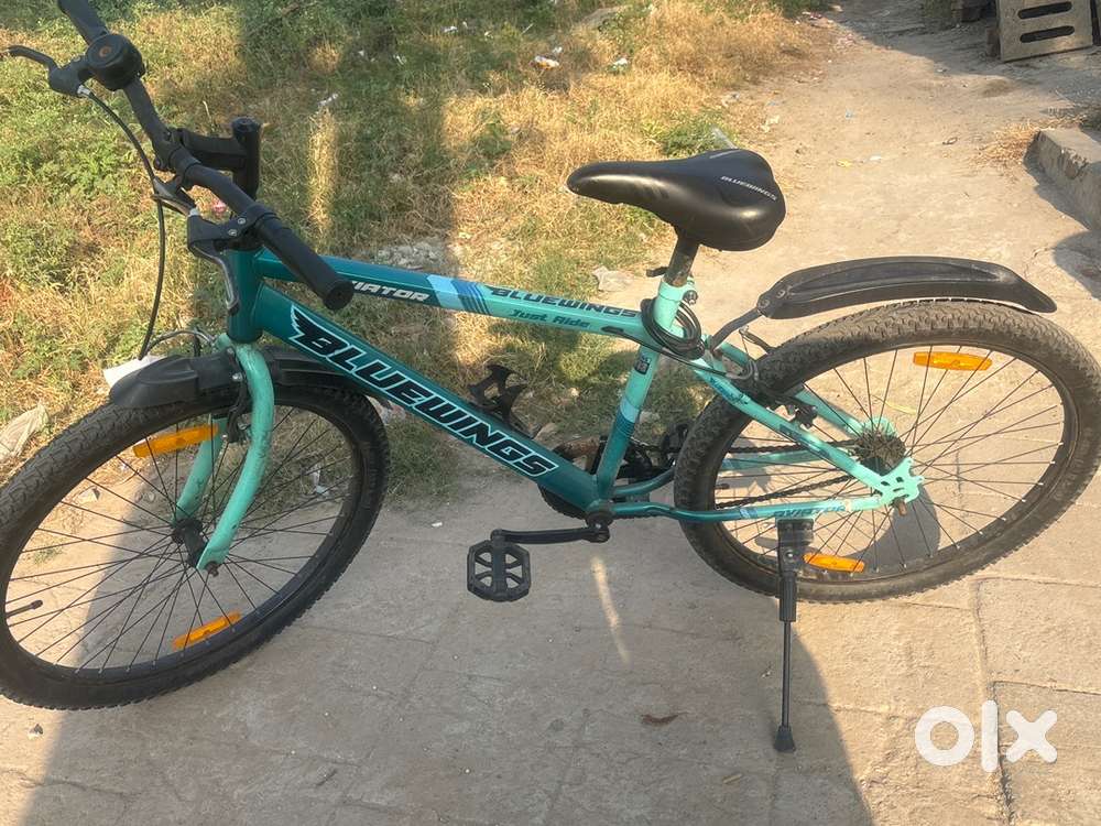 Aviator cycle