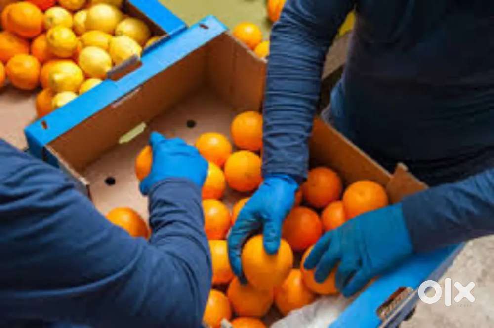 Wanted male/female partime/fulltime warehouse packing staffs