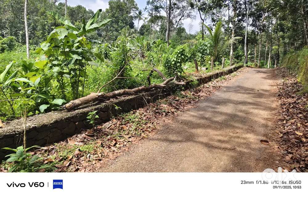 രാമപുരം മരങ്ങാട്ടിൽ വീട് പണിയുന്നതിന് അനുയോജ്യമായ ഹൗസ് പ്ലോട്ടുകൾ